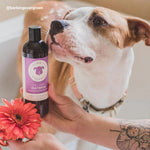Shampoo Orgánico Control Picazón Higo + Cedro para Perros - 354 ml