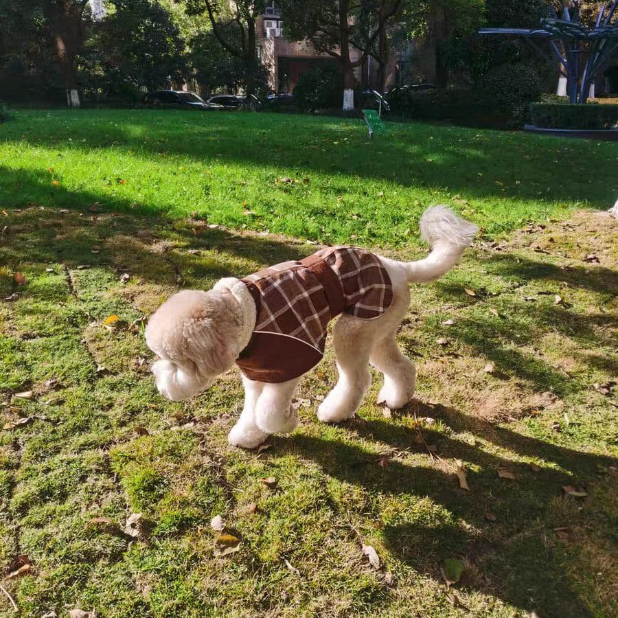 
                  
                    Chaqueta Escocesa Café - Perros de Raza Grande
                  
                