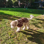 Chaqueta Escocesa Café - Perros de Raza Grande