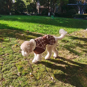 Chaqueta Escocesa Café - Perros de Raza Grande