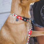 Collar Watermelon con Smart ID