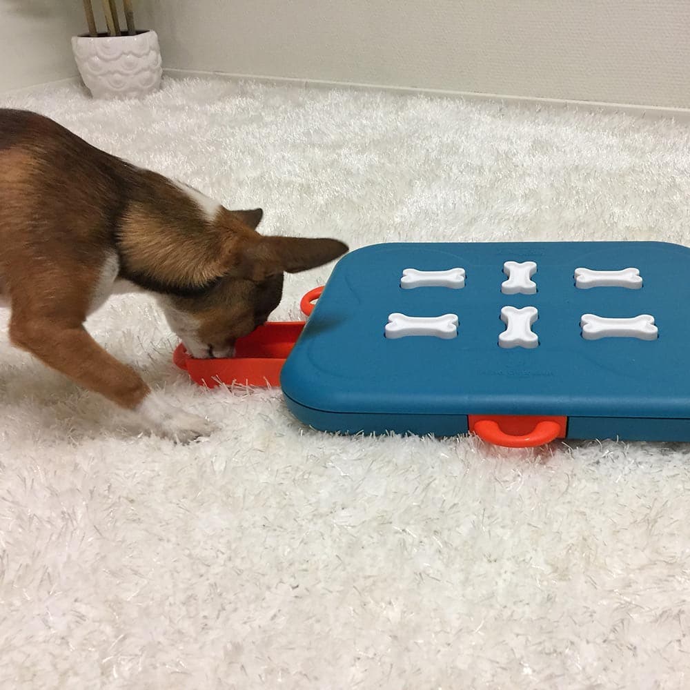 
                  
                    Dog Casino - Puzzle para Perros
                  
                