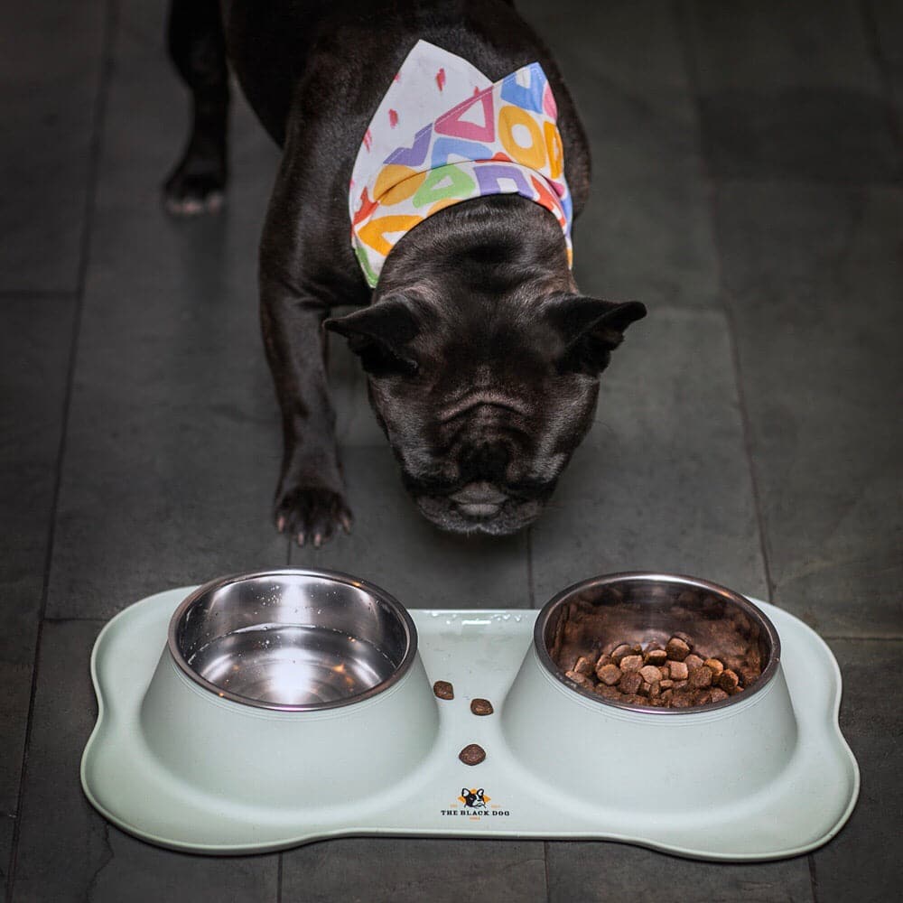 
                  
                    Plato Doble Perro Anti-hormigas Silicona y Acero Inoxidable Gris
                  
                