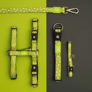 Collar Kiwi con Smart ID