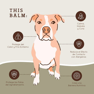 Protector para patas PawTection - 30 ml