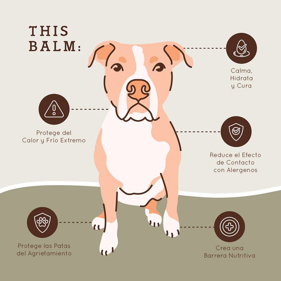 
                  
                    Protector para patas PawTection - 118 ml
                  
                