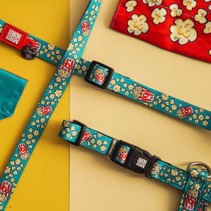 Collar Popcorn con Smart ID