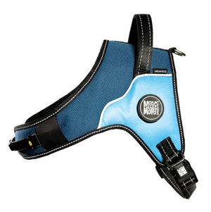 Arnés Power Matrix Sky Blue