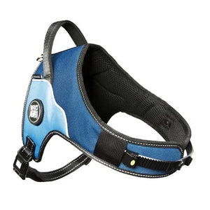 Arnés Power Matrix Sky Blue