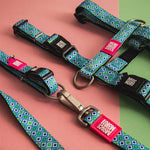 Collar con Smart ID para Gatos Retro Blue