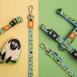 Collar Black Sheep con Smart ID