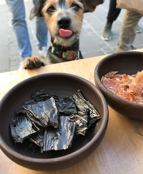 
                  
                    Carne Deshidratada para Perros Cordero - 40 grs
                  
                