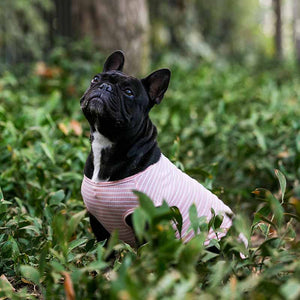Hoodie Stripe Rosado