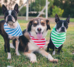 Summer Bandana Verde