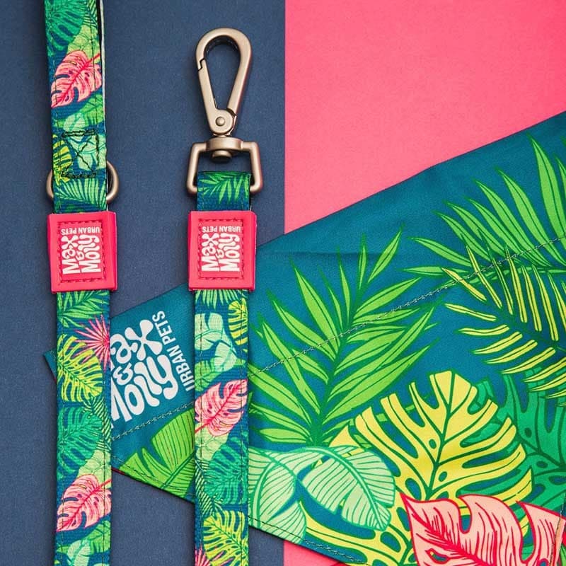 
                  
                    Collar Tropical con Smart ID
                  
                